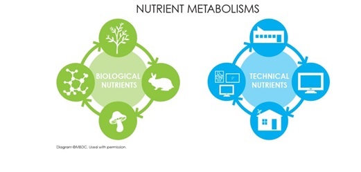 nutrient metabolism